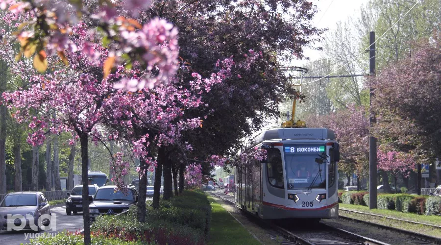  &copy;&nbsp;Фото Марины Солошко, Юга.ру