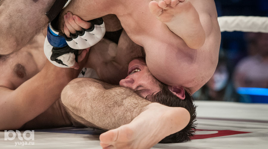  &copy;&nbsp;Фото Елены Синеок, Юга.ру