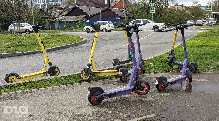  &copy;&nbsp;Фото Александры Прохоренковой-Аксеновой, Юга.ру