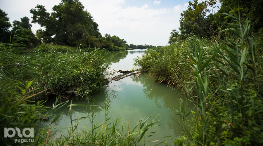 Большой остров &copy;&nbsp;Фото Елены Синеок, Юга.ру