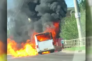  &copy;&nbsp;Скриншот видео из паблика &laquo;Типичный Краснодар&raquo; vk.com/typical_krd