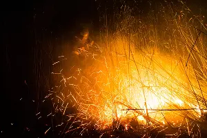  &copy;&nbsp;Фото Каси Кульковой