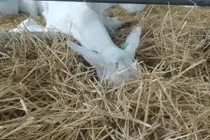  &copy;&nbsp;Фото Юлии Барановой, Юга.ру