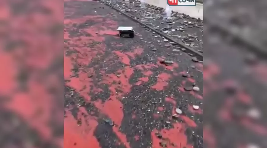  &copy;&nbsp;Фото со страницы instagram.com/chp_sochi