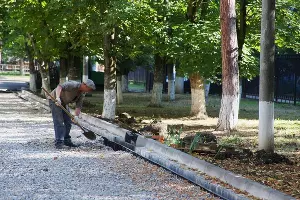  &copy;&nbsp;Фото Карины Сардарян, пресс-служба администрации Краснодара