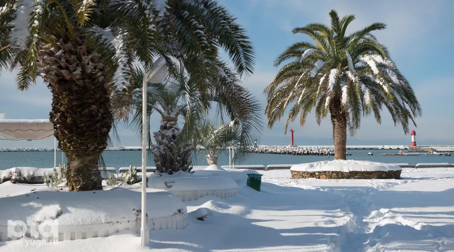 Сочи в снегу &copy;&nbsp;Никита Быков, Юга.ру