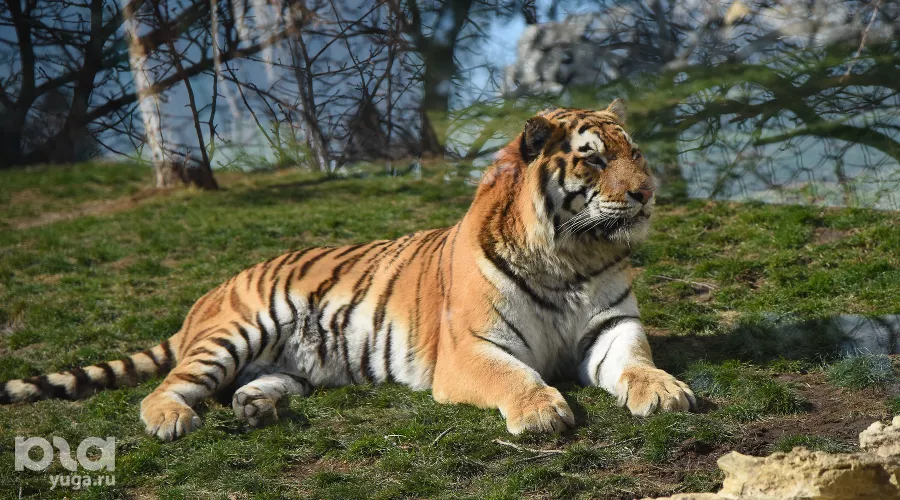  &copy;&nbsp;Елена Синеок, ЮГА.ру