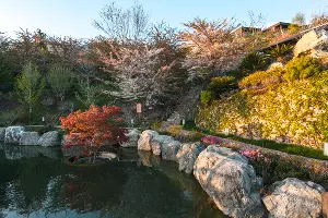 Японский сад &laquo;Шесть чувств&raquo; в Крыму &copy;&nbsp;Фото Антона Быкова, Юга.ру