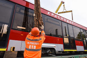 Новый трехсекционный трамвай "Витязь"  © Елена Синеок, ЮГА.ру