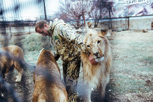 Парк львов "Тайган" в Крыму  © Денис Яковлев, ЮГА.ру