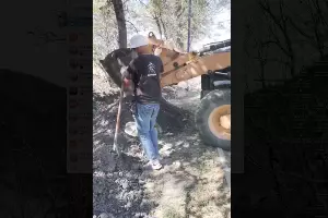  &copy;&nbsp;Скриншот видео телеграм-канала &laquo;Район Лаперуза&raquo;, @laperuzhouse