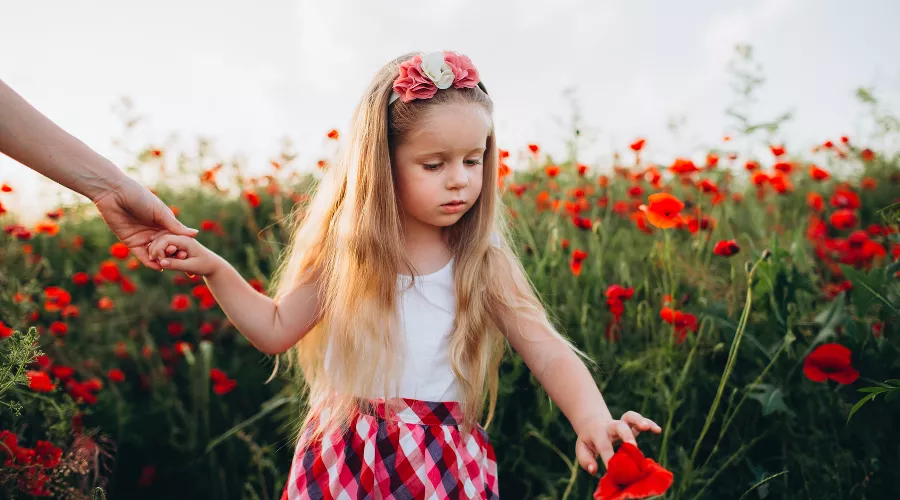  &copy;&nbsp;Фото Ксении Мазаевой, pexels.com