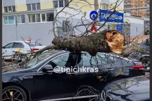  &copy;&nbsp;Скриншот из телеграм-канала &laquo;Телетайп&raquo; https://t.me/tipichkras/38025