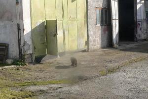  &copy;&nbsp;Фото из инстаграм-аккаунта &laquo;Кубань-СПАС&raquo;, https://www.instagram.com/kubanspas/