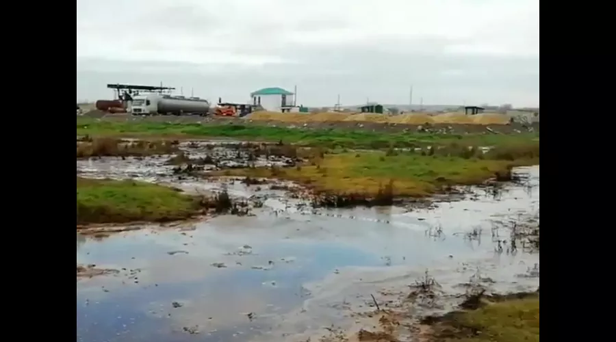  &copy;&nbsp;Скриншот видео из телеграм-канала &laquo;Typodar Краснодар&raquo;, tmtr.me/typodar