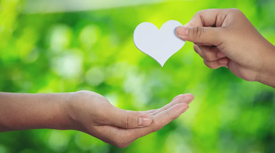  &copy;&nbsp;Фото jcomp с сайта https://ru.freepik.com