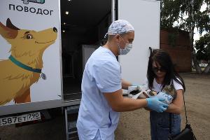 Ветмобиль &laquo;Поводог&raquo; &copy;&nbsp;Фото пресс-службы фонда &laquo;Вольное Дело&raquo;,