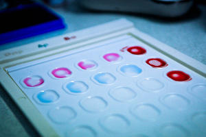 Транспортная полиция сдает кровь &copy;&nbsp;Фото Елены Синеок, Юга.ру