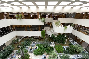 Донская государственная публичная библиотека &copy;&nbsp;Фото Дмитрия Пославского, Юга.ру