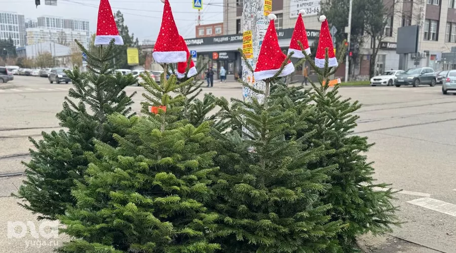  &copy;&nbsp;Фото Марии Журавлевой, Юга.ру