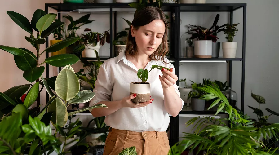  &copy;&nbsp;Фото freepik, freepik.com