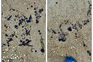 Анапа &copy;&nbsp;Скриншот из телеграм-канала &laquo;Сети, сито, лопата&raquo; https://t.me/setisitolopata/1989