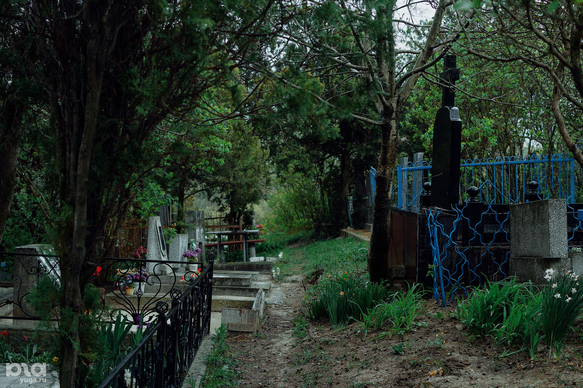 Супсехское кладбище © Фото Юли Шафаростовой, Юга.ру