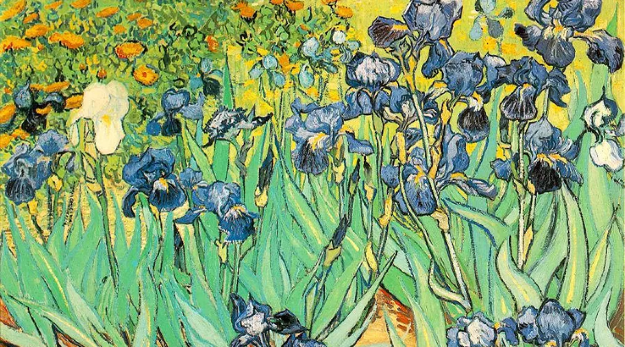 «И́рисы», Винсент ван Гог &copy;&nbsp;Изображение является общественным достоянием