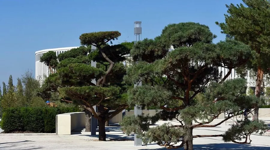  &copy;&nbsp;Фото Сергея Галицкого