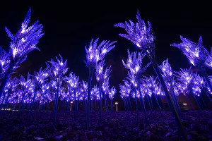 Парк «Краснодар»  с новогодней подсветкой &copy;&nbsp;Фото Елены Синеок, Юга.ру