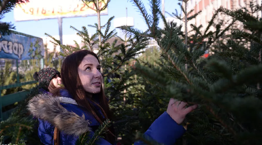  &copy;&nbsp;Фото Алёны Живцовой, Юга.ру