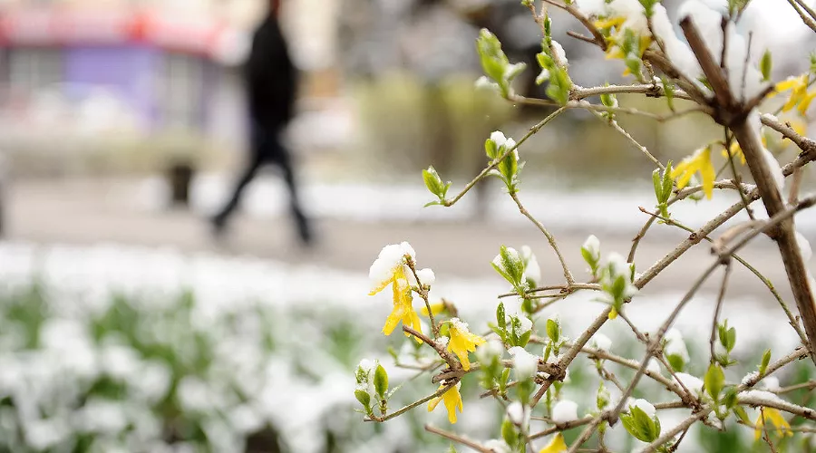  &copy;&nbsp;Фото Алены Живцовой, Юга.ру