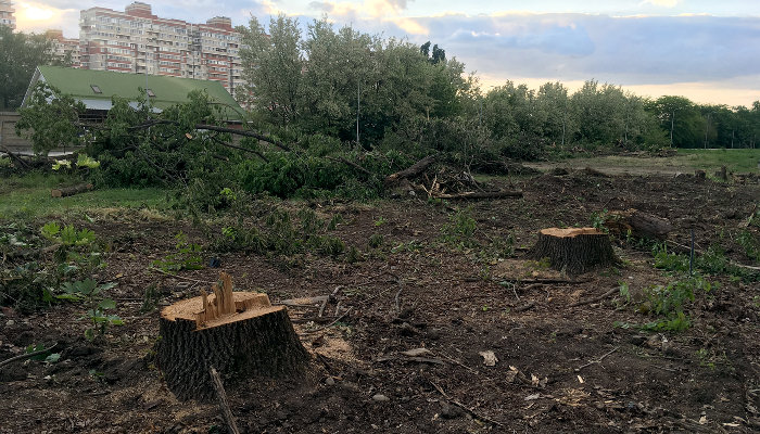  © Фото Тимура Рыжкова, Юга.ру