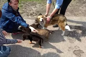  &copy;&nbsp;Кадр из видео канала Clean Futures Fund на youtube.com