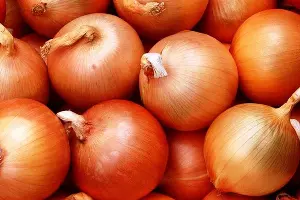  &copy;&nbsp;Фото с сайта plodovie.ru