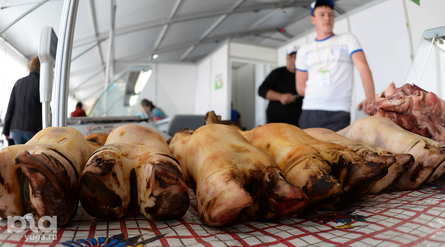  &copy;&nbsp;Михаил Ступин, ЮГА.ру