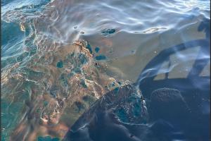  © Скриншот из телеграм-канала Росприроднадзора https://t.me/Rosprirodnadzor_official/2387