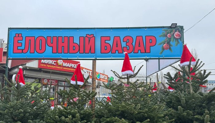 От 2 до 9 тыс. рублей