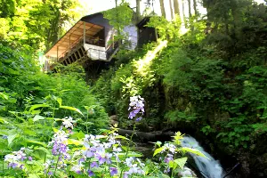 Парк водопадов &laquo;Менделиха&raquo; на &laquo;Роза Хутор&raquo; &copy;&nbsp;Фото Марины Солошко, Юга.ру