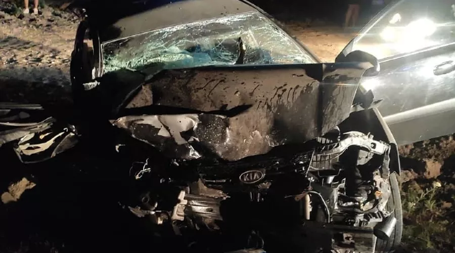  &copy;&nbsp;Фото из инстаграма МБУ &laquo;Служба Спасения&raquo; Анапы, instagram.com/spas_anapa/