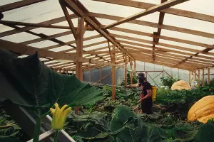 Кадр из фильма «Король тыкв»  &copy;&nbsp;Скриншот с сайта beatfilmfestival.ru