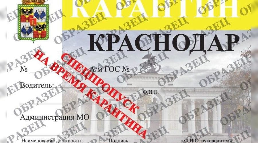  © Фото пресс-службы администрации Краснодара