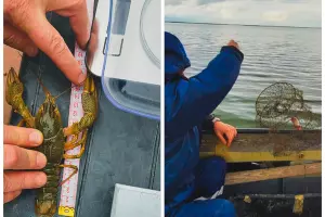  &copy;&nbsp;Скриншот сайта Азово-Черноморского филиала &laquo;ВНИРО&raquo; (&laquo;АзНИИРХ&raquo;) azniirkh.vniro.ru