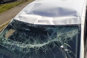  &copy;&nbsp;Фото предоставлено редакции участником ДТП