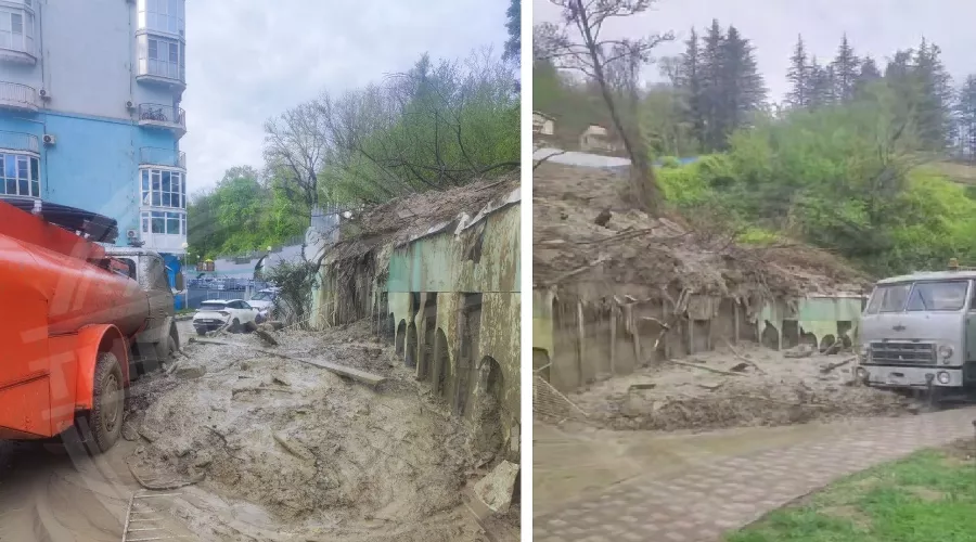  &copy;&nbsp;Коллаж из скриншотов фото из телеграм-канала &laquo;Типичный Сочи&raquo;