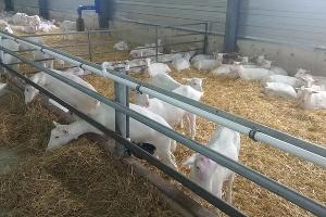  © Фото Юлии Барановой, Юга.ру