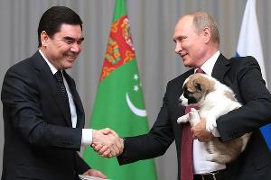 Президент Туркмении подарил Путину щенка алабая по кличке Верный © Фото пресс-службы Кремля