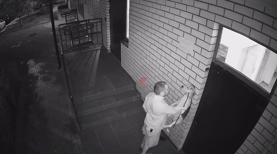  © Скриншот видео из телеграм-канала «Типичный Краснодар», t.me/krd_tipich_ru/