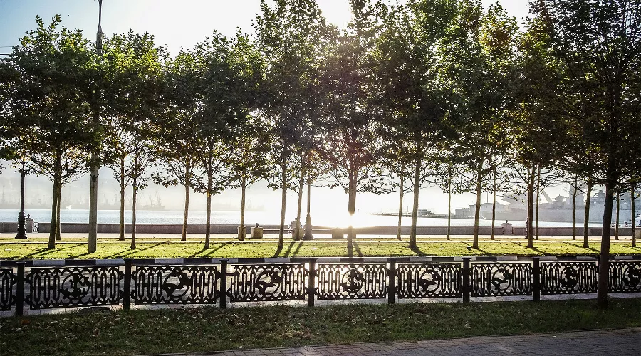  &copy;&nbsp;Фото Elena G, unsplash.com