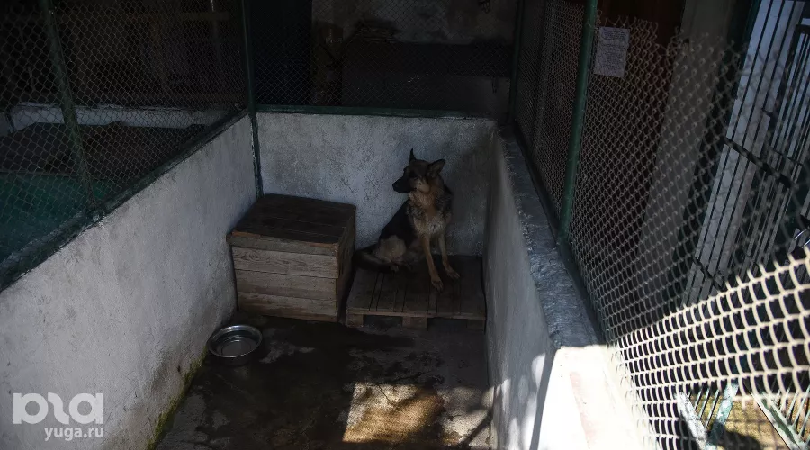  &copy;&nbsp;Елена Синеок, ЮГА.ру